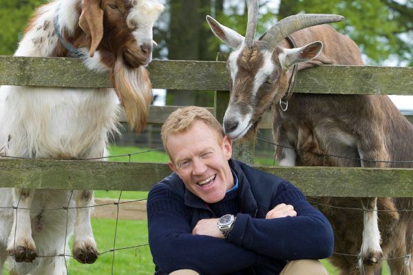 Cotswold Farm Park